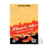 Flamin Hot Corn Chips 600mg Empty Edibles Mylar Bag Snacks Packaging
