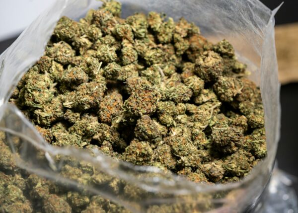Cannabis Storage Bag