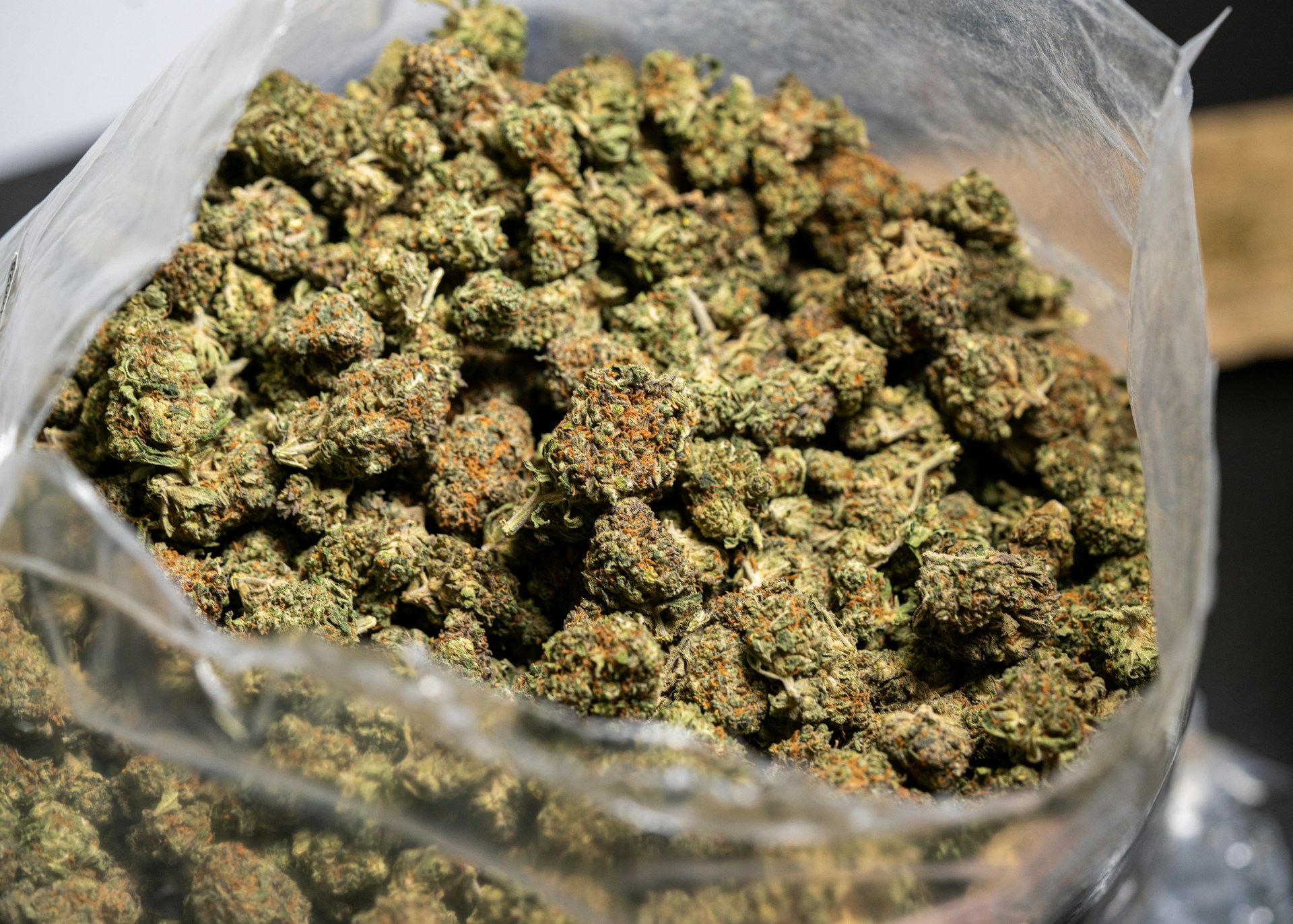 Cannabis Storage Bag